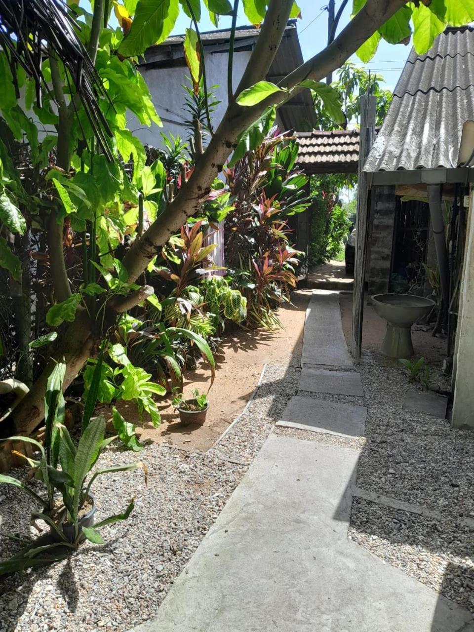 Brother'S Beach Home Bussa エクステリア 写真
